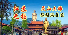 操日本老女人网站江苏无锡灵山大佛旅游风景区